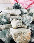 Tree Agate Raw Crystal Natural Rough Gemstone - Rough Gemstones