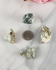 Tree Agate Raw Crystal Natural Rough Gemstone - Dendritic Agate Stones