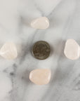 Rose Quartz Crystal Natural Gemstone Freeform Tumbled Stone | Crystals and Stones