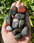 Seftonite Bloodstone Crystal Natural Gemstone Tumbled Stone | One Stone - 1