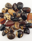 Zebra Amber Stone Natural Organic Gemstone Fossilized Tree Sap Tumbled Stone | One Stone - 1