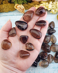Dark Smoky Quartz Tumbled Gemstone - One Stone or Bulk Wholesale Lots - In Hand