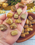 Picture Jasper Tumbled Gemstone - One Stone or Bulk Wholesale Lots - Group in Hand Photo
