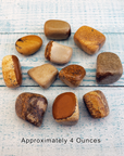Picture Jasper Tumbled Gemstone - One Stone or Bulk Wholesale Lots - 4 Ounces