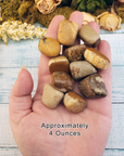 Picture Jasper Tumbled Gemstone - One Stone or Bulk Wholesale Lots - 4 Ounces in Hand