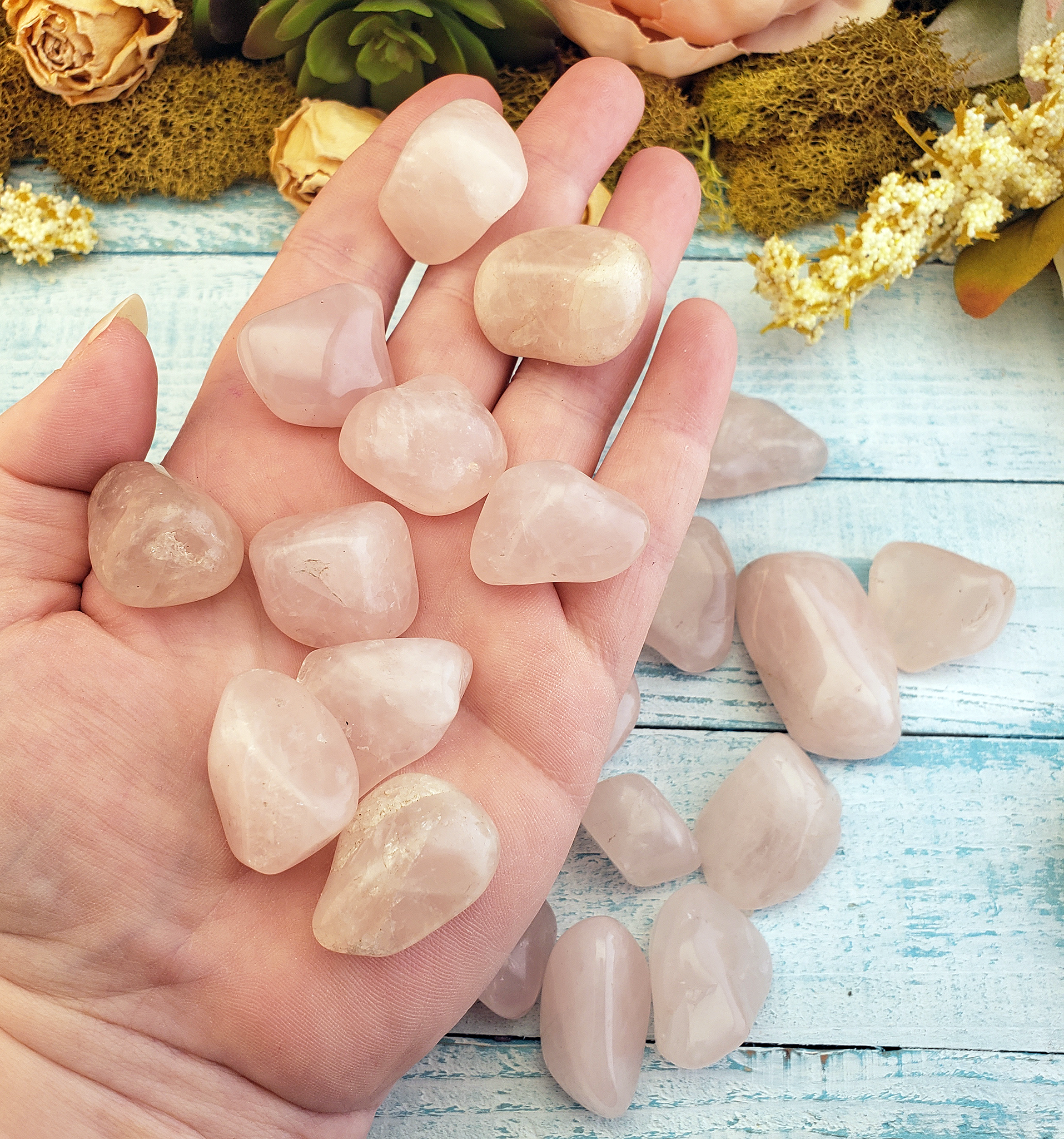 Rose Quartz Tumbled Gemstone - One Stone or Bulk Wholesale Lots - Group in Hand