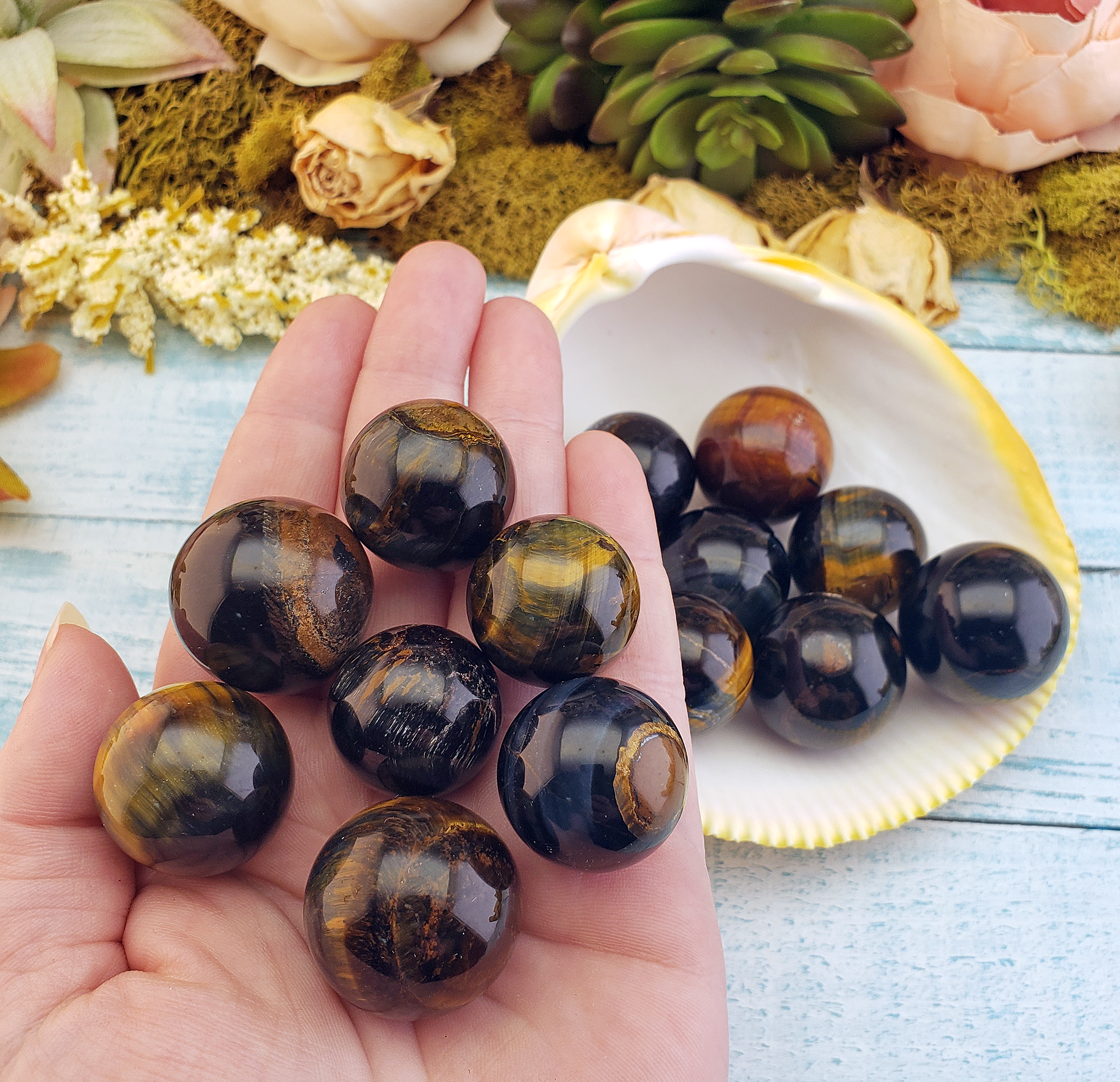 Tigers eye 2025 for sale