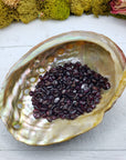 one ounce of garnet chips in abalone shell