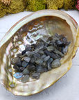One ounce of labradorite crystal chips in abalone shell