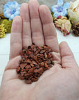 hand holding one ounce of red jasper stone chips