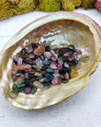 One ounce of mixed multi tourmaline chips in abalone shell