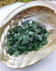 one ounce of nephrite jade chips in abalone shell