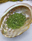 One ounce of peridot stone chips in abalone shell
