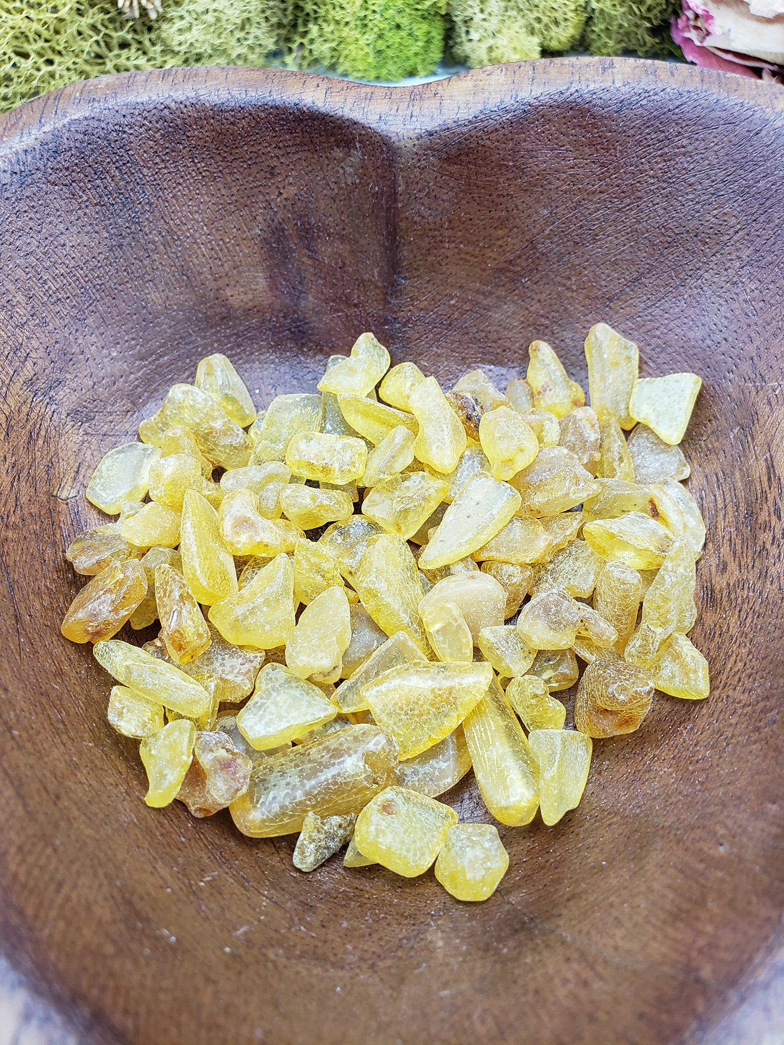 24 grams of amber stone chips on display