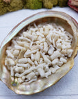 three ounces of bamboo coral chips in abalone shell
