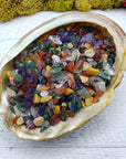 Three ounces of mixed gemstone crystal chips in abalone shell