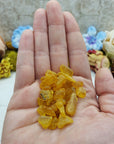 hand holding 9 grams of amber stone chips