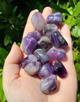 Amethyst Natural Tumbled Gemstone from India - Stone of Inner Power - Bright Sunlight