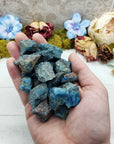 Hand holding several rough blue apatite stones