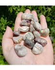 Grey Crazy Lace Agate Polished Tumbled Gemstone - Stone of Optimism - 0.5" -1.2"