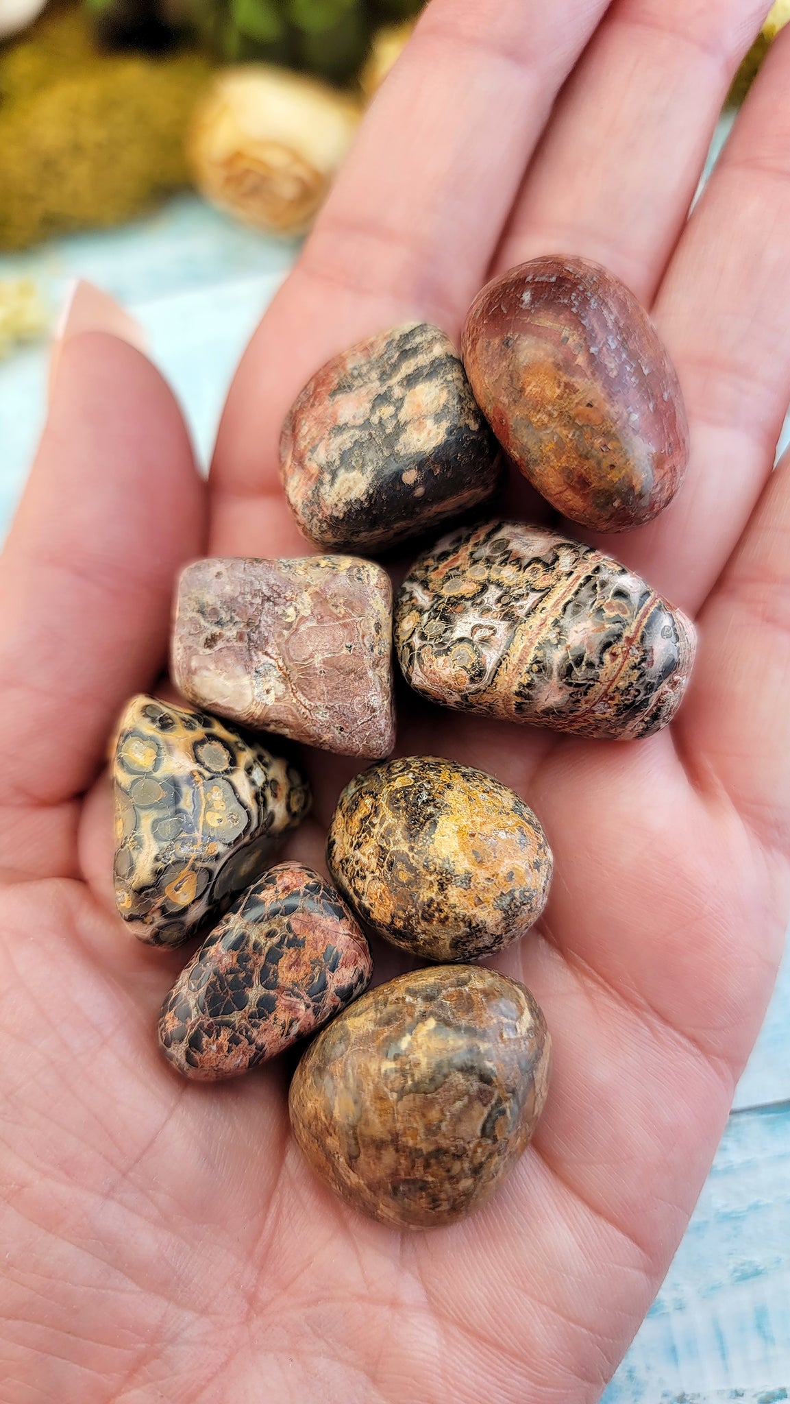 Leopard Skin Jasper Freeform Natural Gemstone Tumbled Stone