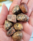 Leopard Skin Jasper Tumbled Gemstones