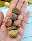 Leopard Skin Jasper Gemstone