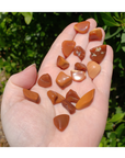 Red Opal Tumbled Freeform Gemstone - Mini 0.3" - 0.5"
