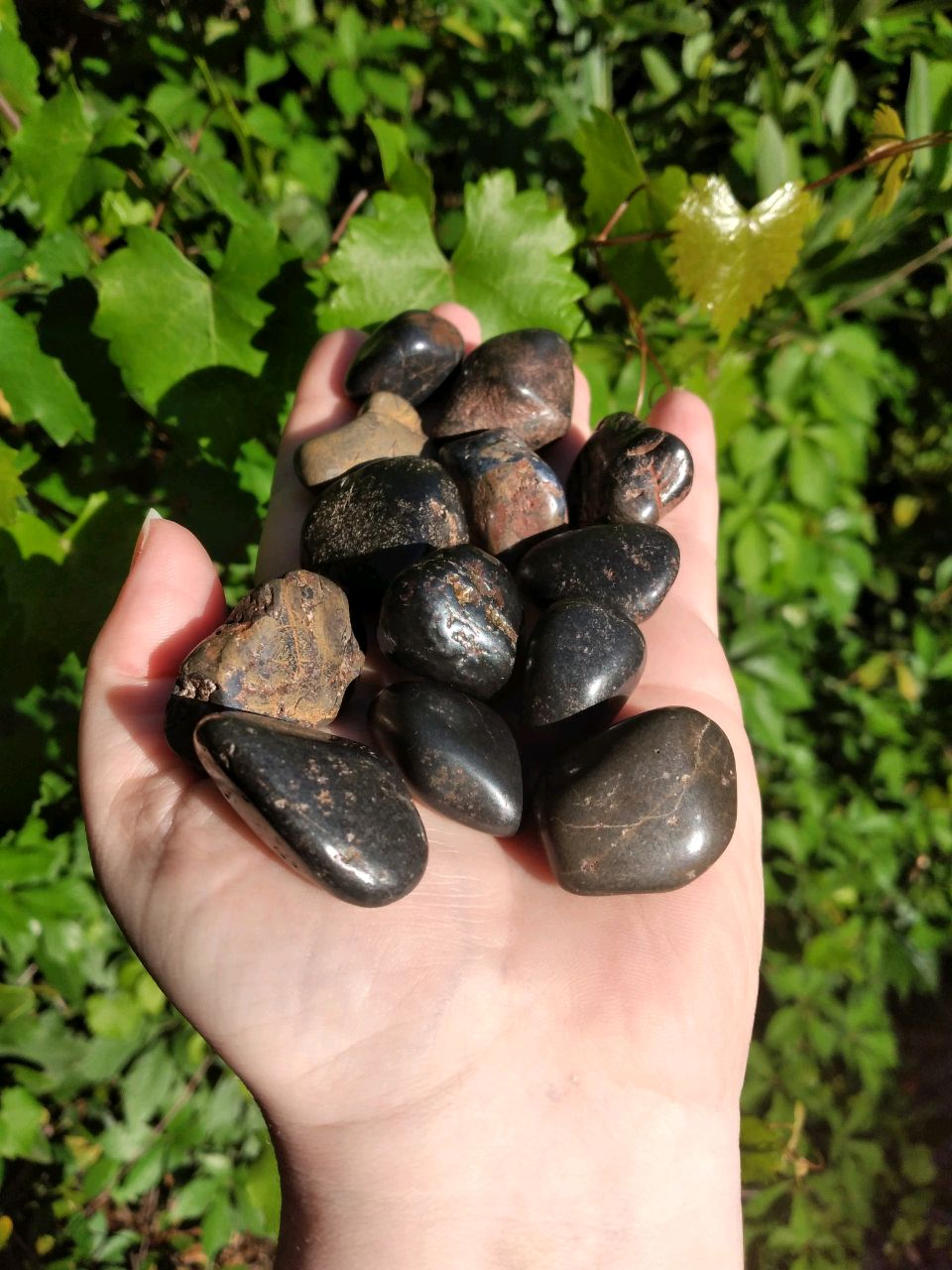 Sapphire Natural Tumbled Gemstone - One Stone