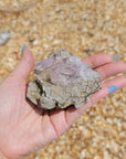 Unique Vera Cruz Amethyst Crystal Cluster Natural Gemstone Formation | Odin