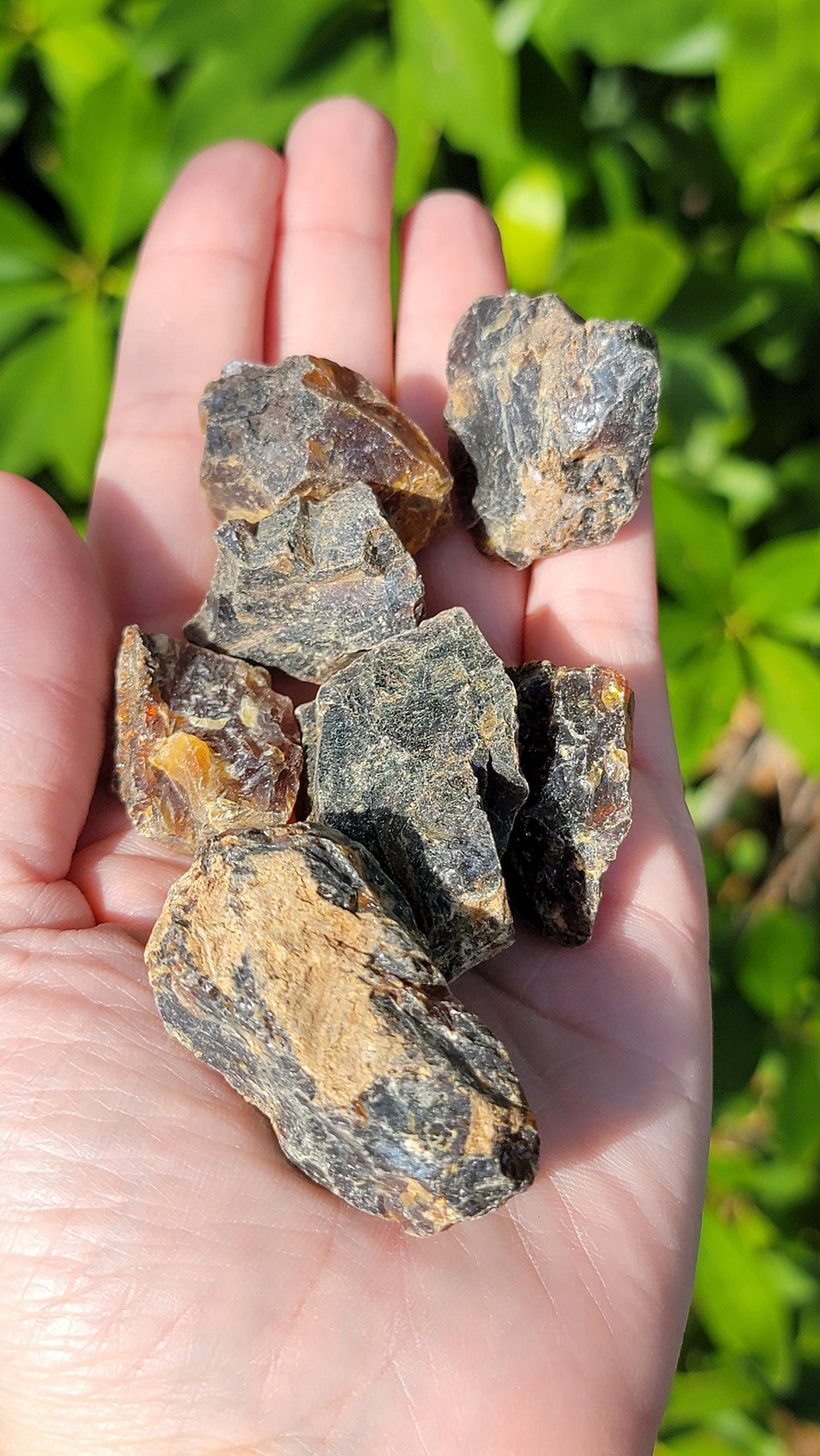 Zebra Blue Amber Rough Fossil Crystal Gemstone Shop