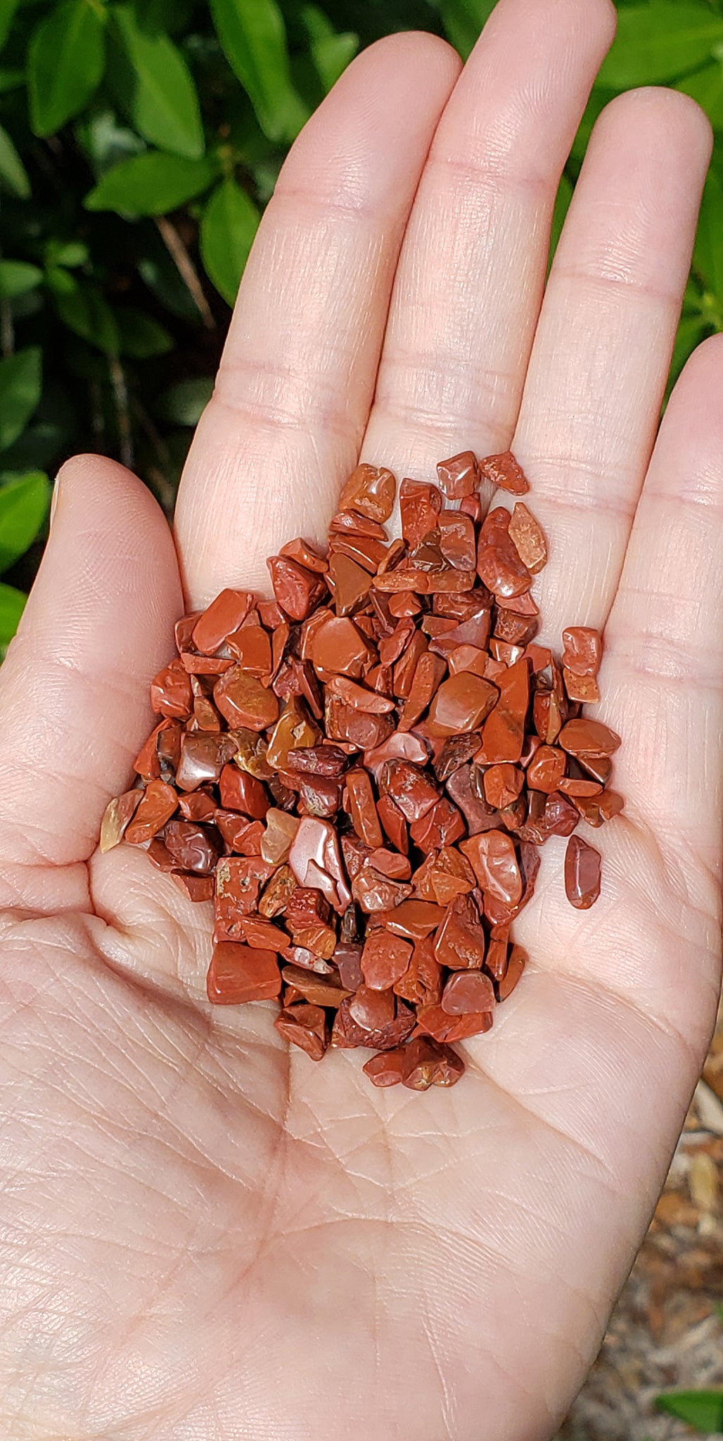 Red Jasper Gemstone Chips - 1 Ounce Bag