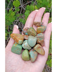 Natural Turquoise Tumbled Gemstone - One Stone or Bulk Wholesale Lot - Outdoors in Sunlight