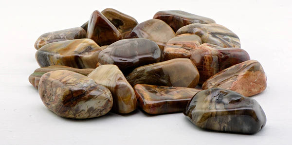 Petrified wood gemstones sold by Crystal Gemstone Shop