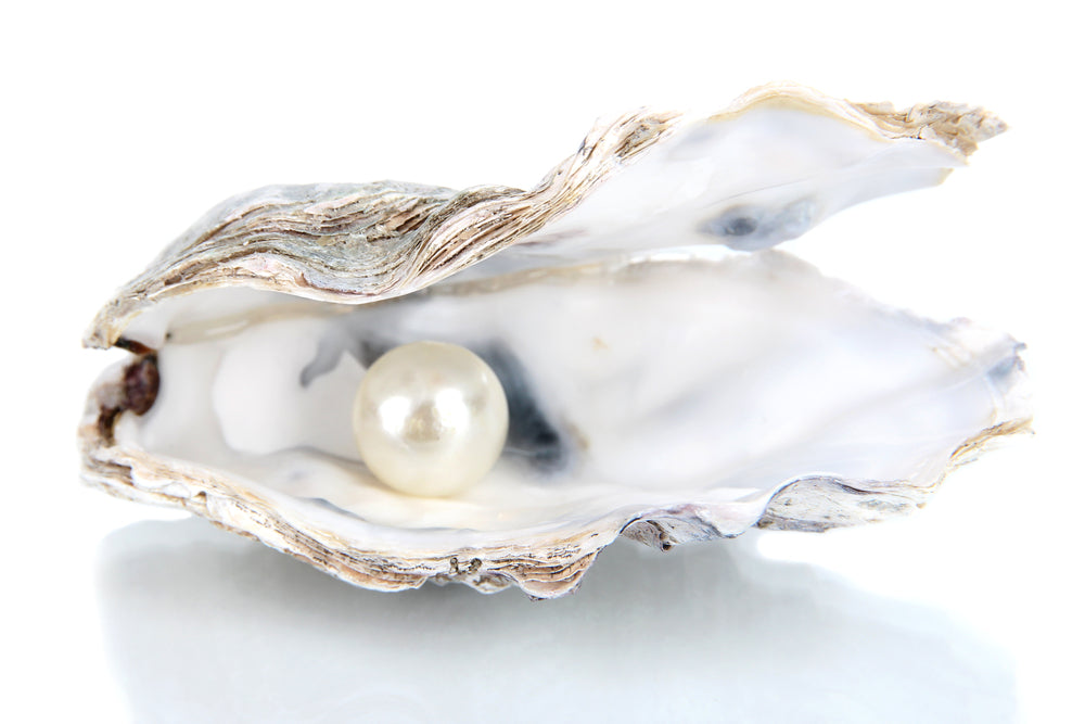 Cultured Pearls: Saltwater & Freshwater