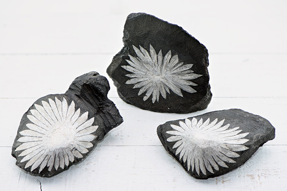 Chrysanthemum Stone – Crystal Gemstone Shop