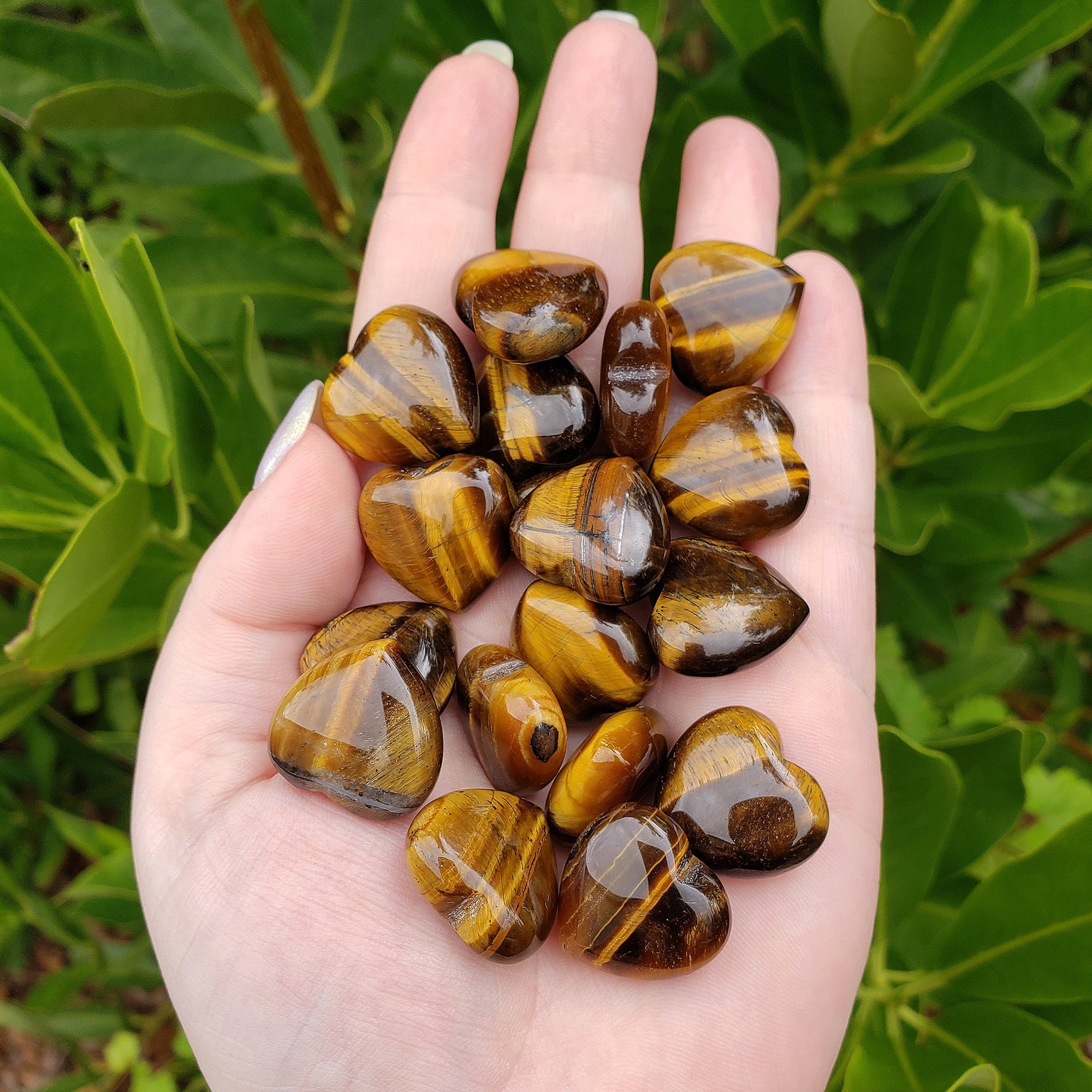Tiger Eye Stone Tiger Eye Stone