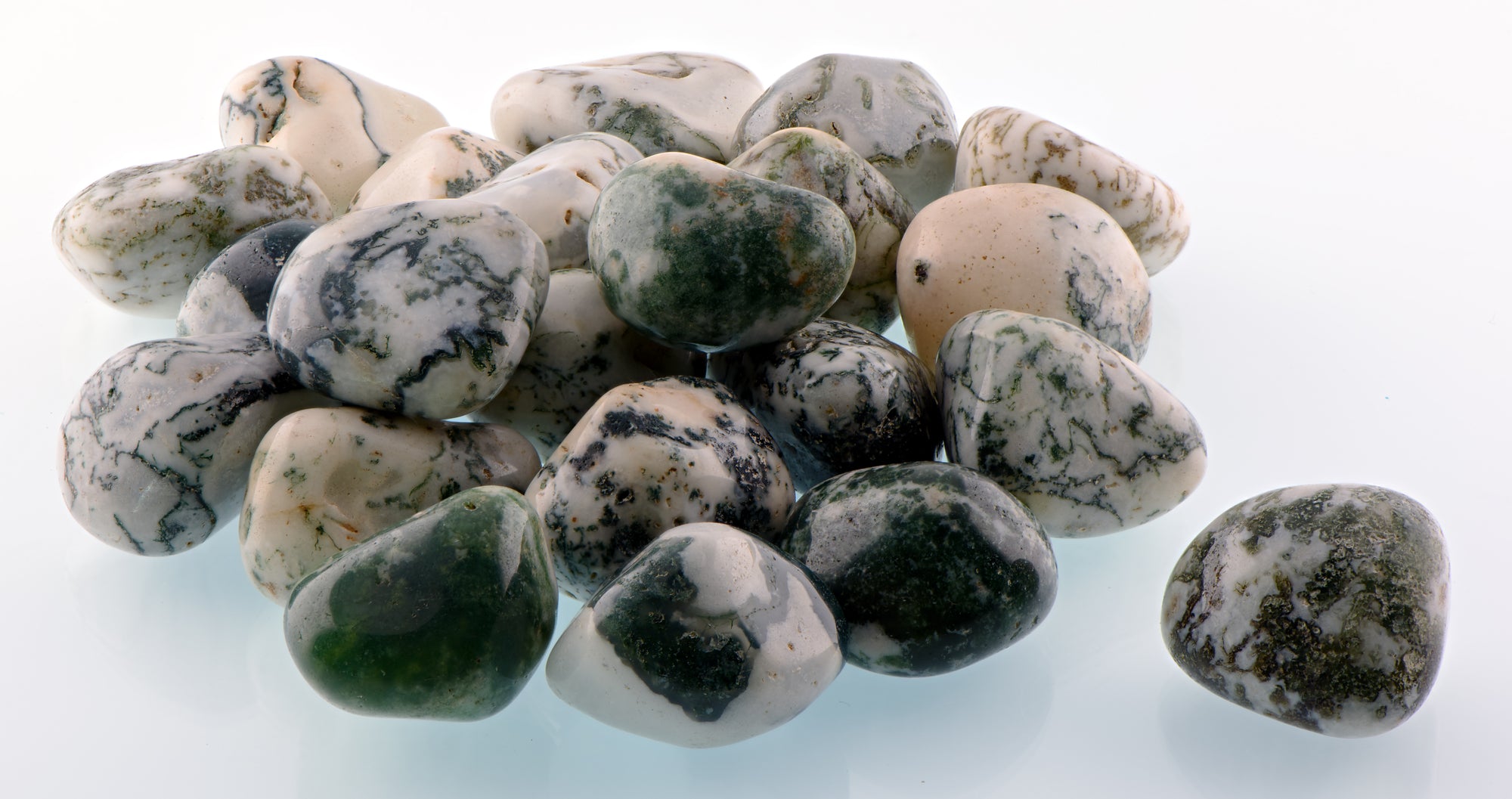 Tree Agate Crystal Collection
