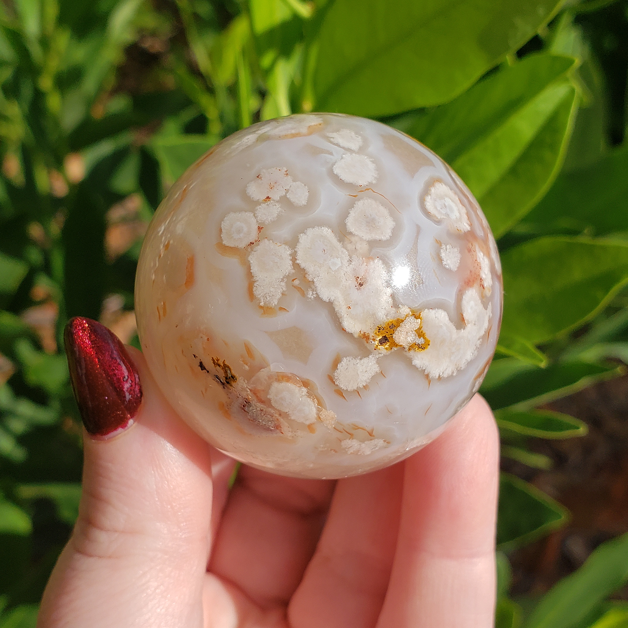 Flower Agate Stone | Cherry Blossom Agate