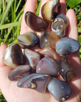 Botswana Agate Tumbled Gemstone - Single Stone - Outdoor Light