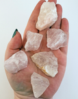 Rose Quartz Raw Crystal Rough Gemstone - Small One Stone - In Hand, White Background