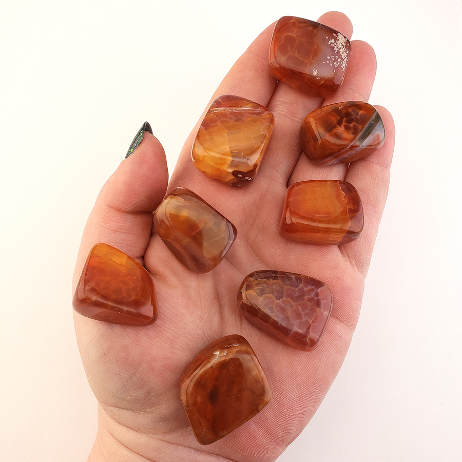 Fire Agate Natural Tumbled Crystal - One Stone - In Hand White Background