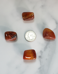Fire Agate Natural Tumbled Crystal - One Stone - Size Comparison