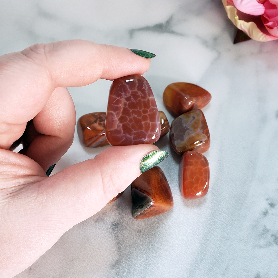 Fire Agate Natural Tumbled Crystal - One Stone - One Stone Between Fingers