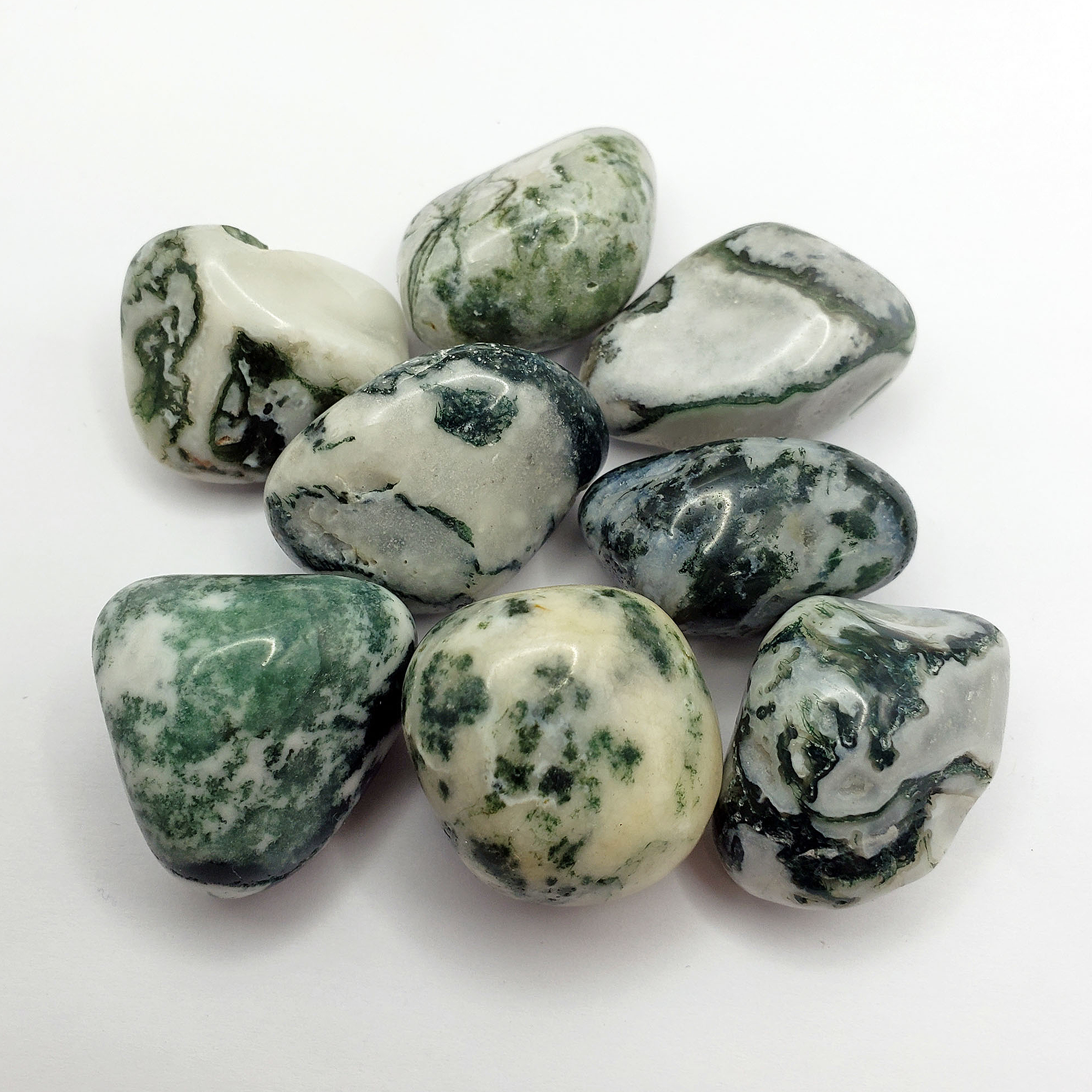 Tree Agate Natural Tumbled Crystal - One Stone - White Background Close Up