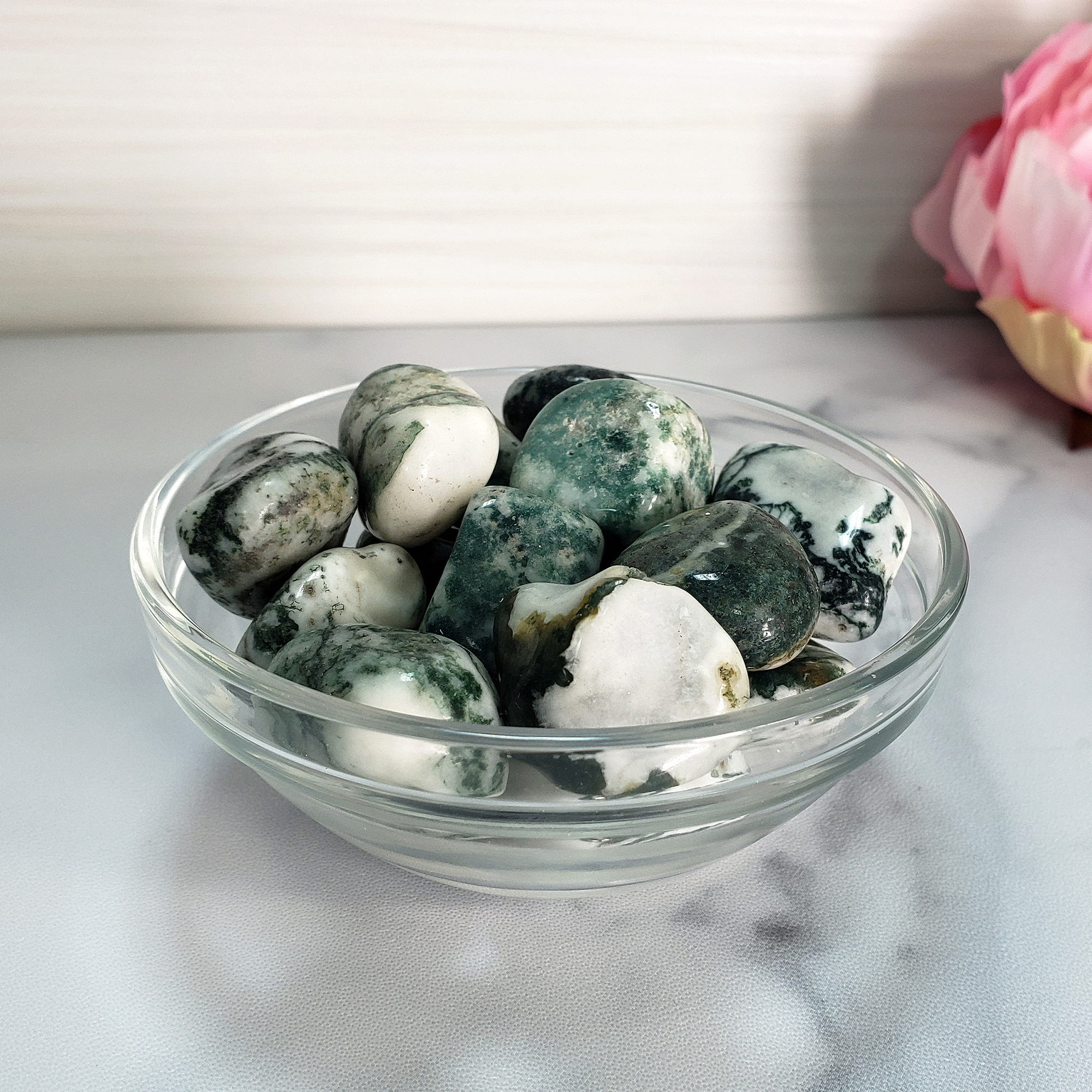 Tree Agate Natural Tumbled Crystal - One Stone