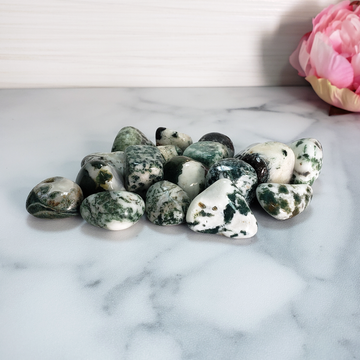 Tree Agate Natural Tumbled Crystal - One Stone - Group on Tile