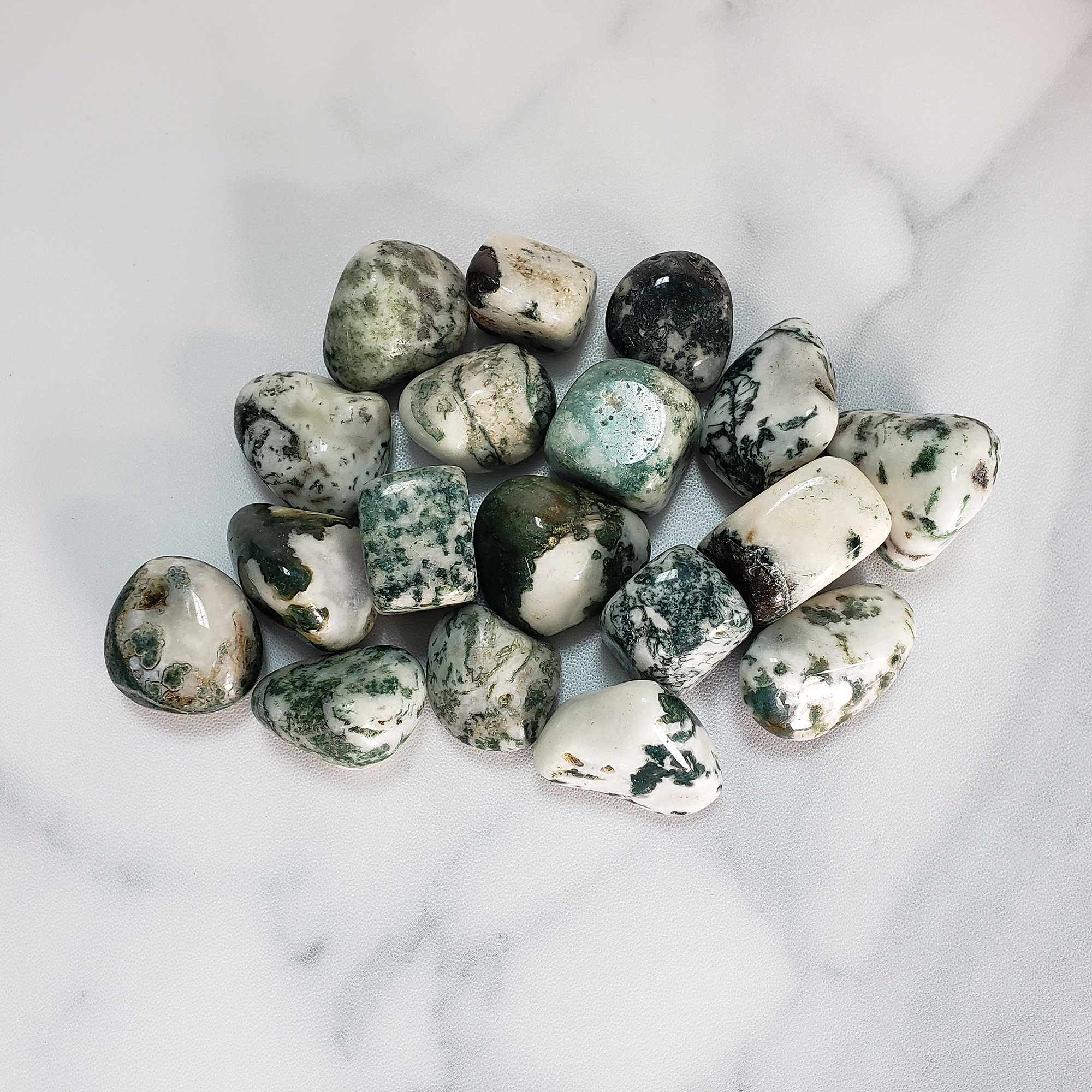 Tree Agate Natural Tumbled Crystal - One Stone - Group on Tile from Above