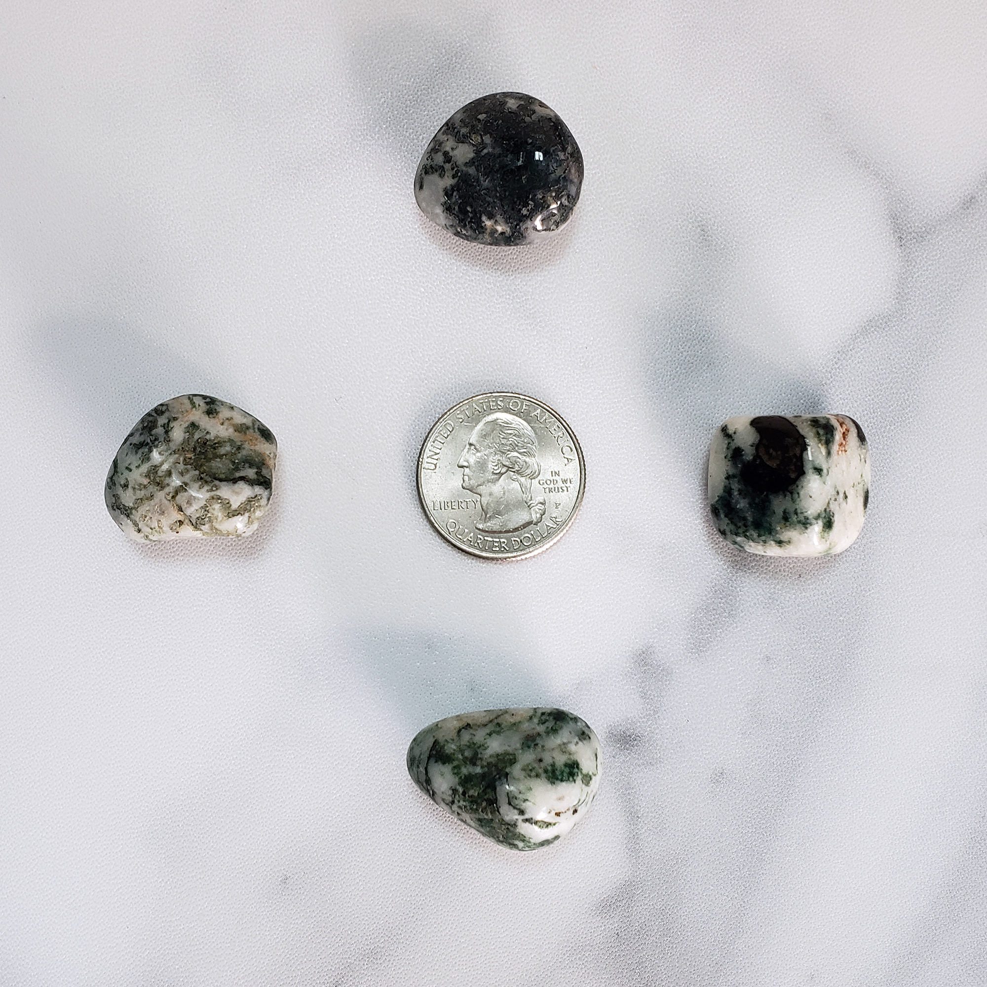 Tree Agate Natural Tumbled Crystal - One Stone - Size Comparison