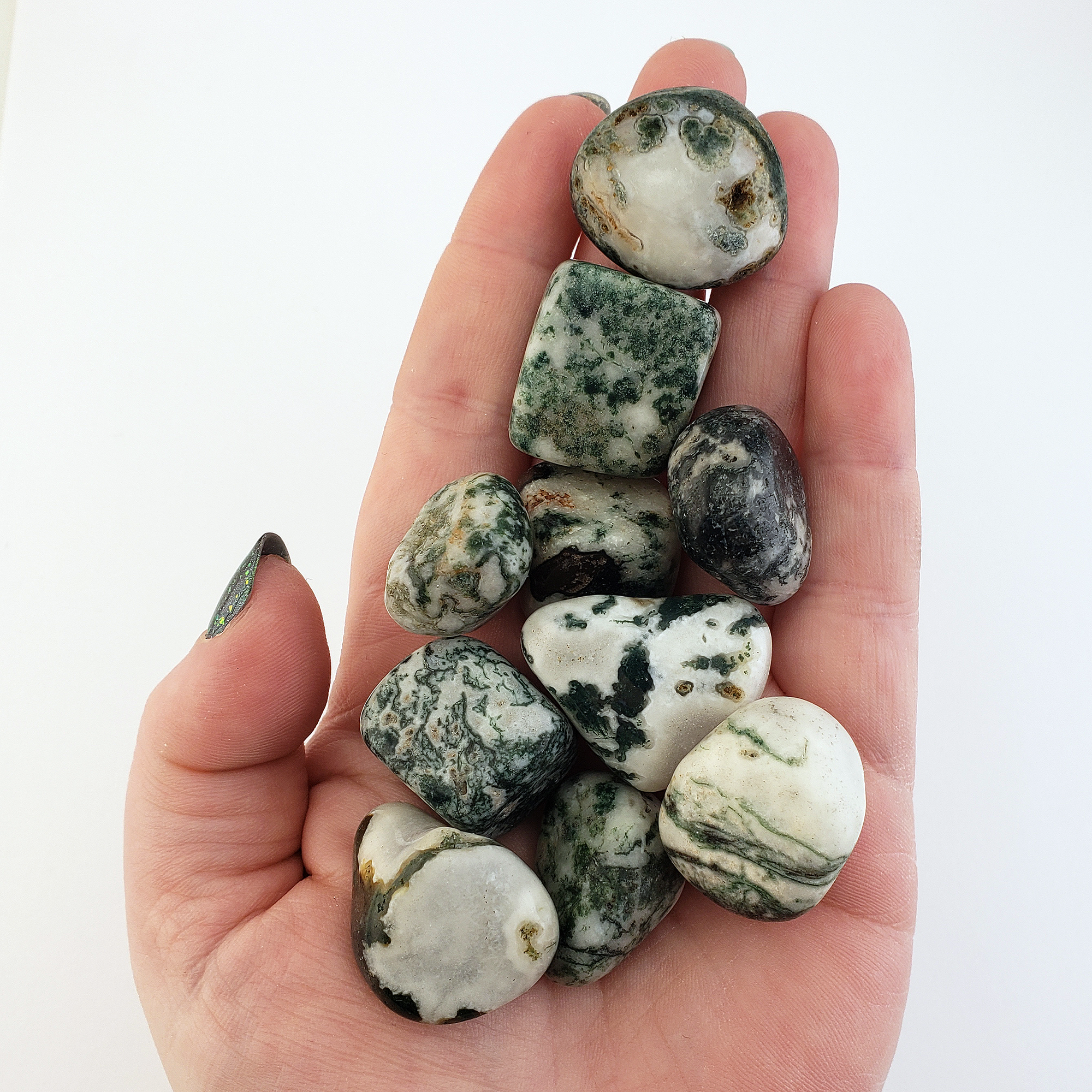 Tree Agate Natural Tumbled Crystal - One Stone - In Hand, White Background